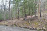 4235 Bellinger Hollow Road - Photo 3
