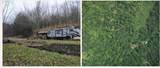 302 Jakes Ln./Mason Hill Rd. - Photo 1