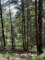 302 Jakes Ln./Mason Hill Rd. - Photo 12