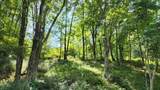 302 Jakes Ln./Mason Hill Rd. - Photo 14