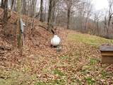 302 Jakes Ln./Mason Hill Rd. - Photo 17