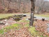 302 Jakes Ln./Mason Hill Rd. - Photo 21