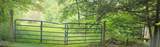 302 Jakes Ln./Mason Hill Rd. - Photo 3