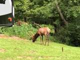 302 Jakes Ln./Mason Hill Rd. - Photo 42