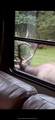 302 Jakes Ln./Mason Hill Rd. - Photo 43