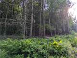 Lot 29 Peters Lane - Photo 2