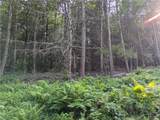 Lot 29 Peters Lane - Photo 6