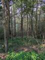 Lot 29 Peters Lane - Photo 7