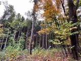 2856 Zimmer Road - Photo 33