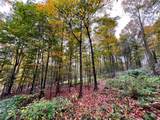 2856 Zimmer Road - Photo 36