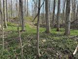 14245 Collin Ctr Zoar Road - Photo 19