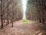 West Creek Road - Photo 12