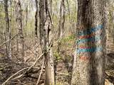  West Creek Road - Photo 30