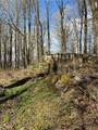  Vega Mountain Road - Photo 4