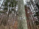 383 Big Oak Lane - Photo 11