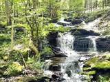 bragg Hollow Bragg Hollow Road - Photo 10