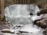 bragg Hollow Bragg Hollow Road - Photo 2