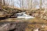 bragg Hollow Bragg Hollow Road - Photo 3