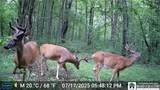 7120 Parker Road - Photo 6