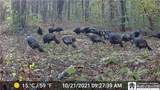 7120 Parker Road - Photo 7