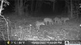 7120 Parker Road - Photo 8