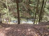  Clarence Church Road - Photo 32
