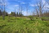 0 Shanty Plains Road - Photo 11