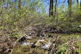 0 Shanty Plains Road - Photo 14
