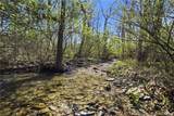 0 Shanty Plains Road - Photo 6