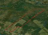 849 Mill Creek Road - Photo 4