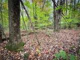 0 Trout Brook Drive - Photo 11