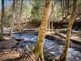 0 Trout Brook Drive - Photo 16