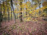 0 Trout Brook Drive - Photo 4
