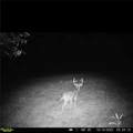 7960 Rt-415 - Photo 29