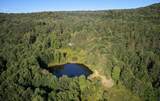 1855 Davis Hollow Road - Photo 5