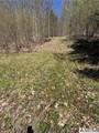 0 St. Rt. 417 - Photo 10