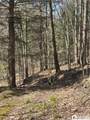 0 St. Rt. 417 - Photo 13