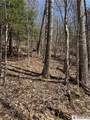0 St. Rt. 417 - Photo 15