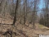 0 St. Rt. 417 - Photo 17