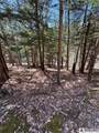 0 St. Rt. 417 - Photo 19