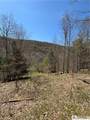 0 St. Rt. 417 - Photo 20