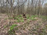  Bramley Mountain Road - Photo 10