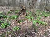  Bramley Mountain Road - Photo 11