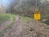  Bramley Mountain Road - Photo 2