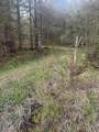  Bramley Mountain Road - Photo 3