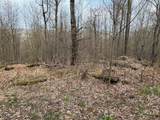  Bramley Mountain Road - Photo 6