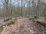  Bramley Mountain Road - Photo 7