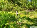 2650 Christy Lane - Photo 40