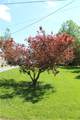 55 Spruce Street - Photo 28