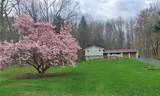 24 Little Spring Run - Photo 37